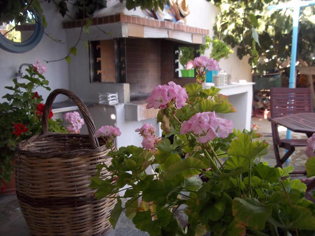 Nefeli Apartment Drios Bagian luar foto